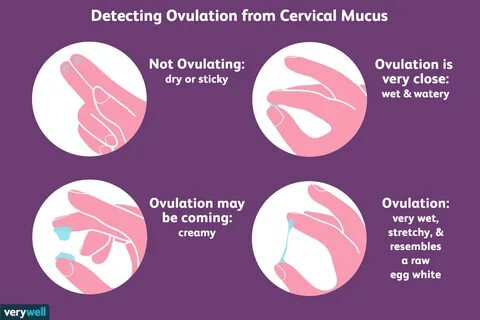 Learn how to track ovulation by monitoring your CM and get pregnant faster....
