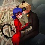 Ladybug and Chat Noir - Miraculous Ladybug fan Art (39781048