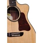 Купить Washburn WSD5240S(K) акустическую гитару в каталоге и