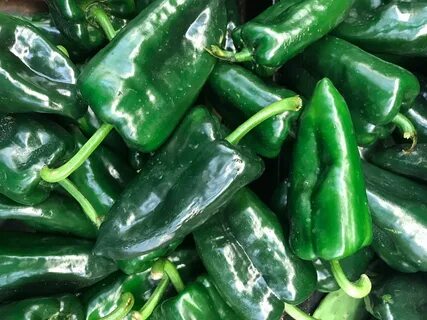 Types of Peppers, Explained: Heat Levels of Different Chili 