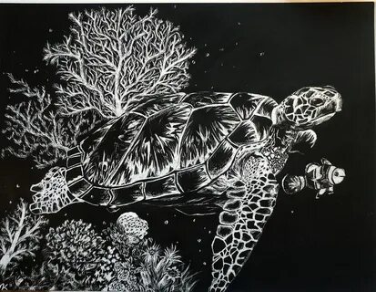 Turtle Scratchboard by artsyfartsyness on DeviantArt Scratch