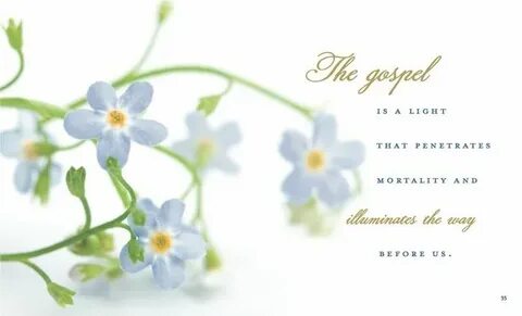 Forget Me Not Uchtdorf, Forget me not, Mother day wishes