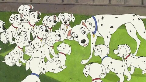101 dalmatians, Comedy, Adventure, Family, Dog, Puppy, 100, 