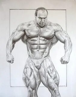 Outline Bodybuilder Sketch - Goimages Smidgen