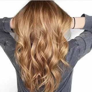 Mane Interest on Instagram: "Auburn and bronde tones. Color 