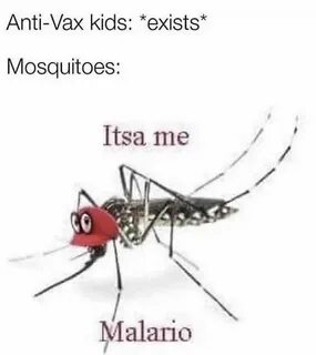 Pin by Kaylee Welch on Yep Funny mosquito, Funny memes, Dark