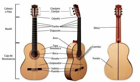 Violines Piezas De Instrumentos Musicales De Cuerda L public