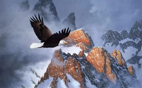 An Eagle Soars Over The Snowy Mountains Artistic Work Painti