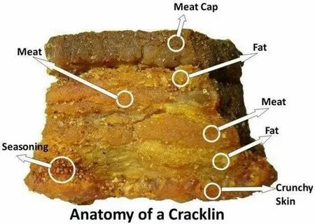 Cracklins-Crunchy chunks of fried pork skin, fat, and meat seasoned to perf...