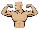 Male Bodybuilder Flexing Muscles Isolated Vector Illustratio