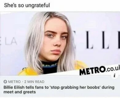 Billie eilish tells fans to stop grabbing her boobs