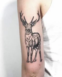 #deer #tattoo #animal #armtattoo Deer tattoo, Tattoos, Anima