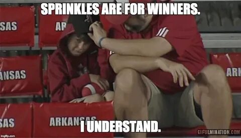 Best Arkansas football memes from the 2015 season - Saturday