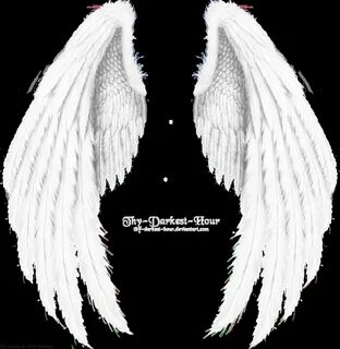 Winged Fantasy V.2 - White Dark wings, Wings, Angel wings co