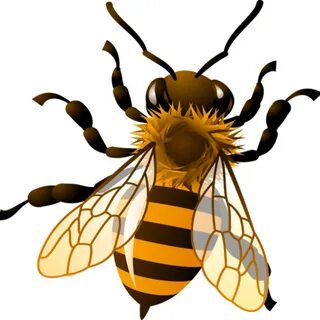 Honeybee Clipart Honey Bee Clipart Clipart Kid Bees - Honey 