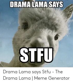 🐣 25+ Best Memes About Drama Lama Drama Lama Memes