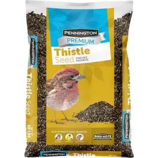 Tienda bird seed suppliers- OFF 60% - ersportsman.com!