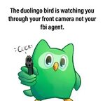 The Duolingo Bird Is Watching You Through Your Front Camera 