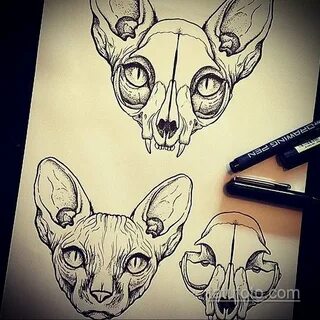 эскиз тату череп кошки 17.09.2019 № 025 - cat skull tattoo s