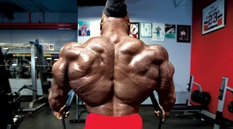 kai greene back workout OFF-59