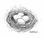 Featured Artwork: A Bird's Nest! The Creative Cat Bird drawi