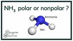 Is NH3 Polar or Nonpolar? (Ammonia) - YouTube