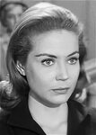 Actor Pictures for Perry Mason
