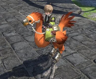 Ffxiv Chocobo Colors 10 Images - Chocobo Color Screenshots N