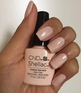 Shellac на палитра на ногтях фото: информация о классических