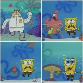 32+ Top Gambar Bahan Meme Spongebob Terbaru - Unik