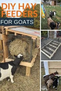 DIY Goat Hay Feeders Goat hay feeder, Goat playground, Goats