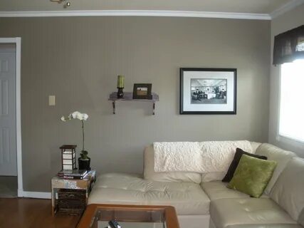 Behr Ethiopia Home decor, Contemporary living room, Contempo