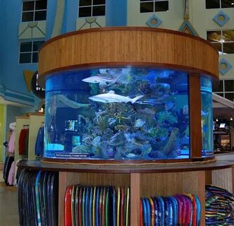 Aquarium Installation Normal Aquatics - Custom Aquariums & P