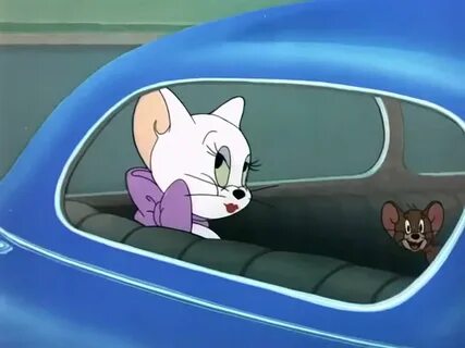 Casanova Cat Tom And Jerry Girl Cat