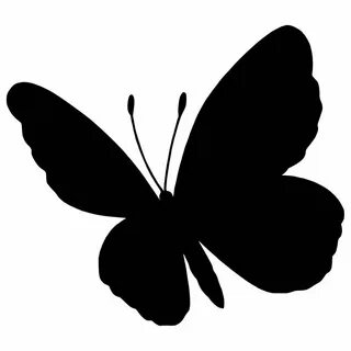 330 Svg Side View Butterfly Silhouette SVG PNG EPS DXF File