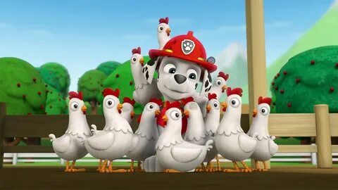 Watch PAW Patrol Season 1 Episode 7: Pups Save the Circus/Pu