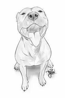 Tyson, el Pitbull de un amigo :) Animal drawings, Dog drawin