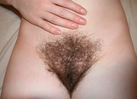 BIG Bush / Hairy Pussy Thread - /s/ - Sexy Beautiful Women -