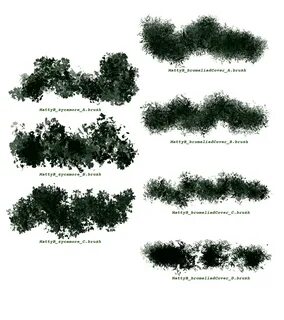 tree plan brush photoshop free cay photoshop tree plan photo