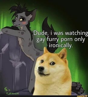 Dude, i was watching gay furry porn only ironically. Le