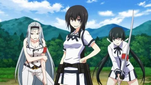 Majikoi samurai girls