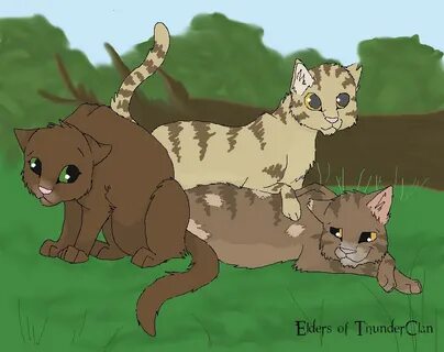 Purdy and Warrior Cats in one picture on WeLovePurdy - Devia