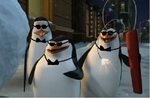 Madagascar Penguins Memes - Imgflip