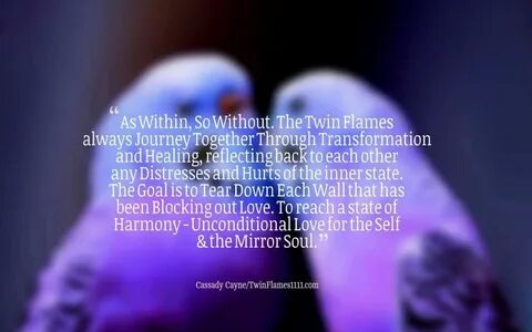 Pin by Shay Sandoval on Twin Flame Love Twin flame quotes, T