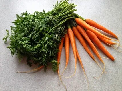 How to cook young carrot (smart way of using carrot tops too