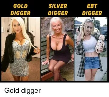 GOLD DIGGER SILVER DIGGER EBT DIGGER Gold Digger Funny Meme 