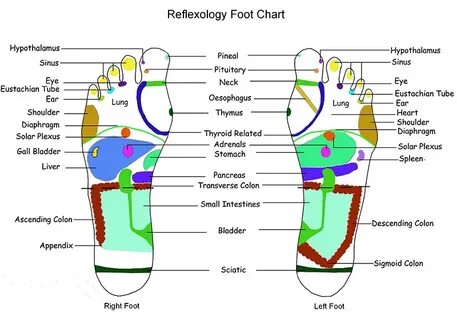 Footloose Reflexology Auckland