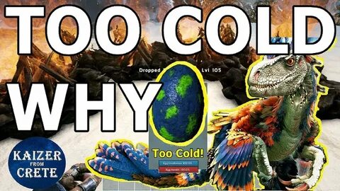 Why deinonychus egg is too COLD? - How to incubate everythin