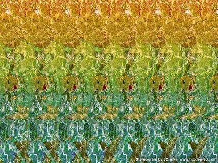 11 Magic Eye Pictures part 2 C6E