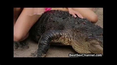 Wetland Alligators Sex Free Nude Porn Photos